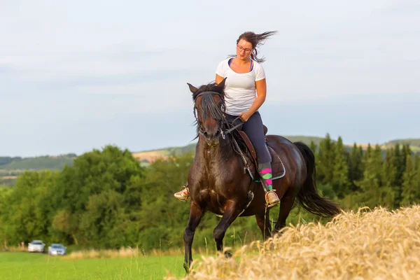 Woman rides an Andalusian horse — Stock Photo, Image