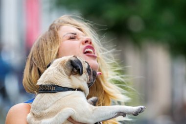 güzel bir kadın yüzü Pug yalıyor