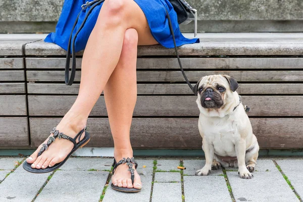 Jonge vrouw zit op een bankje met een mopshond — Stockfoto