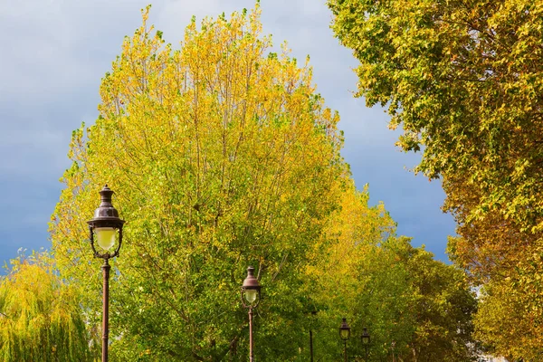 Аллея с тополем в Париже, Франция — стоковое фото