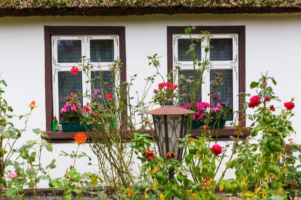 Idyllische cottage van het rieten dak op de Lieper Winkel, Usedom, Duitsland — Stockfoto