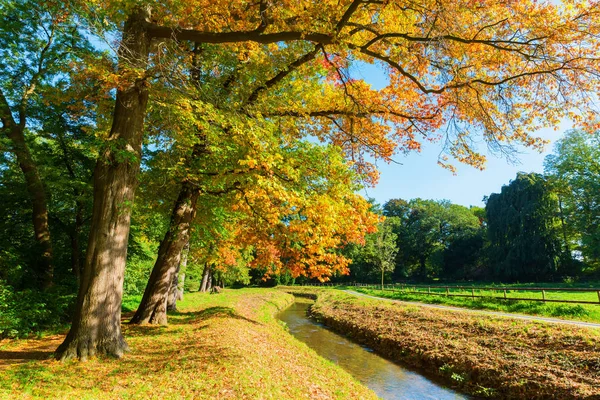 Красочный пейзаж парка осенью — стоковое фото