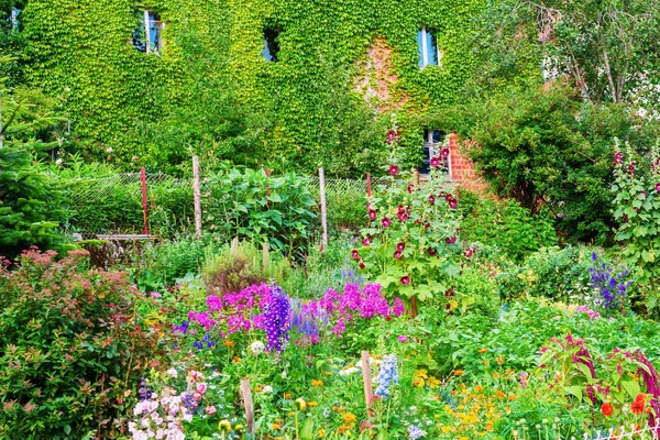 Boerderij met wijnstokken bedekte gebouw met cottage tuin — Stockfoto
