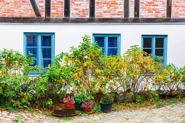 Oud huisje met herfst dogroses en potplanten — Stockfoto