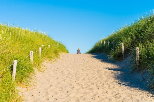 Foto Van Een Pad Duinen Aan Zeekust — Stockfoto