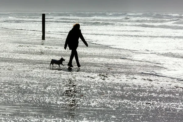 Picture Silhouette Woman Dog Walking Stormy Seacoast — Stock Photo, Image