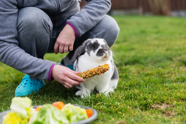 Eine Ältere Frau Kniet Neben Einem Kaninchen Vor Einer Futterschale — Stockfoto