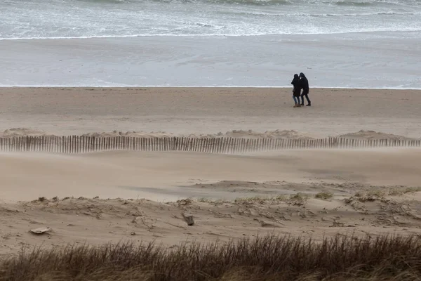 Heavy Storm Day Beach Bloemendaal Aan Zee Netherlands Unrecognizable People — Stock Photo, Image