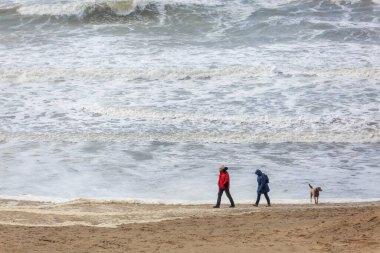 Bloemendaal aan Zee, Hollanda - 23 Şubat 2020: Kuzey Denizi 'nde kimliği belirsiz insanların olduğu plaj. Bloemendaal aan Zee Kuzey Hollanda 'da popüler bir plaj merkezidir.