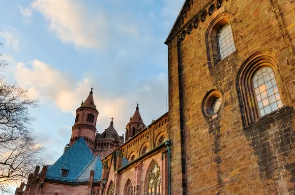 Obrázek Historické Červí Katedrály Worms Německo — Stock fotografie