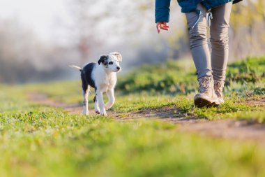 Dışarıda sevimli bir köpek yavrusuyla oynayan bir kadının resmi.