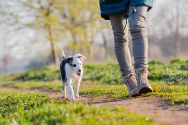 Dışarıda sevimli bir köpek yavrusuyla oynayan bir kadının resmi.