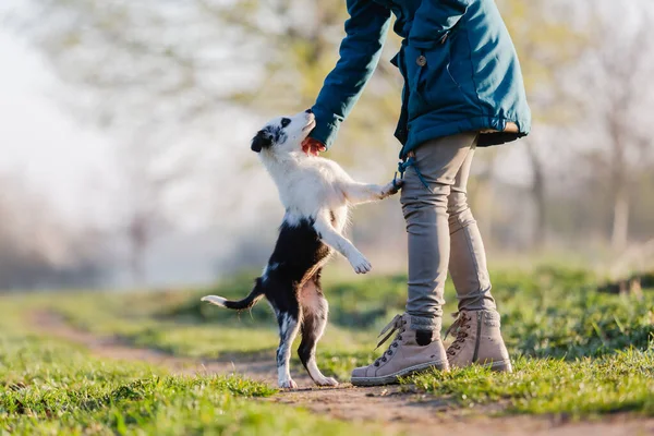 Dışarıda Sevimli Bir Köpek Yavrusuyla Oynayan Bir Kadının Resmi — Stok fotoğraf