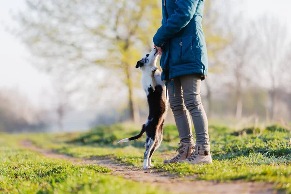 Foto Uma Mulher Brincando Com Filhote Cachorro Bonito Livre — Fotografia de Stock