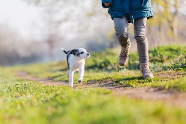 Dışarıda sevimli bir köpek yavrusuyla oynayan bir kadının resmi.