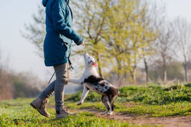Dışarıda sevimli bir köpek yavrusuyla oynayan bir kadının resmi.