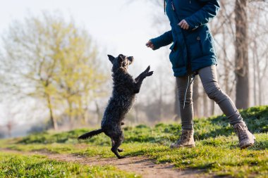 Dışarıda küçük sevimli bir köpekle oynayan bir kadının resmi.