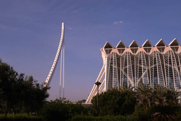 Valencia Sciences Park Bron Tidigt Morgonen — Stockfoto