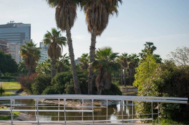 Sudaki ada, palmiye ağaçları, köprü.