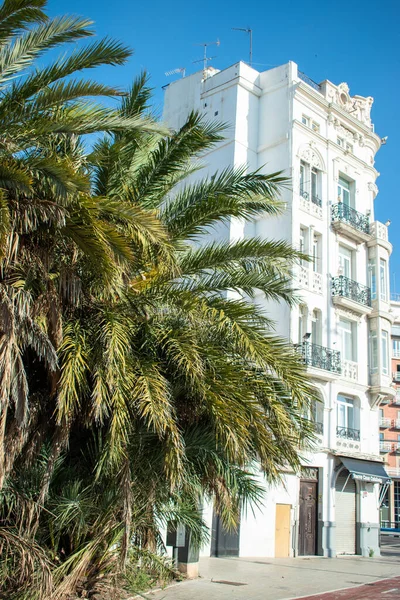 Het Oude Gebouw Achter Palmbomen Ontspringen — Stockfoto