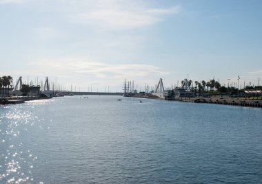 Sabah limanda kanolardaki kürekçiler