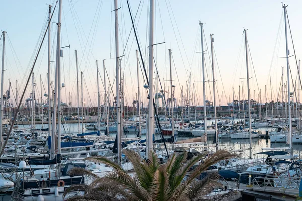 Sunset Forest Ship Masts — Stock Photo, Image