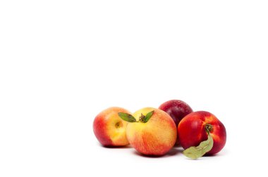 Beyaz arka planda yeşil yapraklı dört olgun sarı ve kırmızı nektarin.