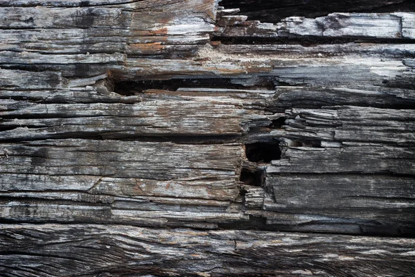 오래 된 하드 나무 질감 배경 — 스톡 사진