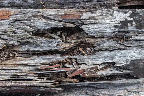 Menghancurkan kayu keras tua — Stok Foto