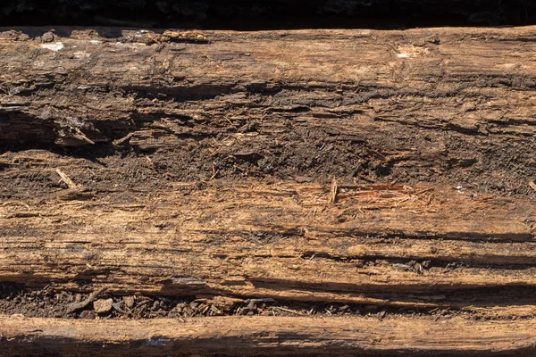 Oude harde houtstructuur achtergrond — Stockfoto