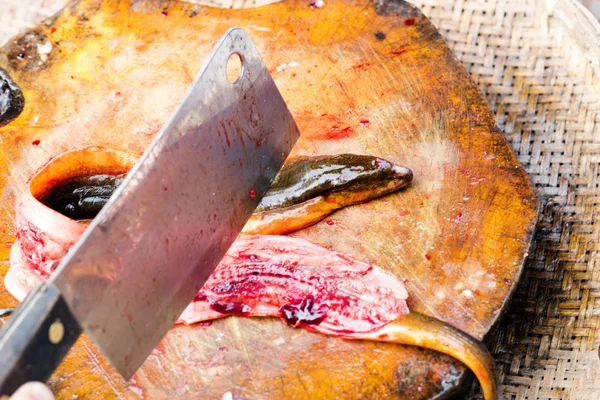 Cocina menú de pescado serpiente — Foto de Stock