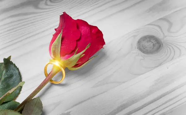 Nişan için gül çiçek ring — Stok fotoğraf