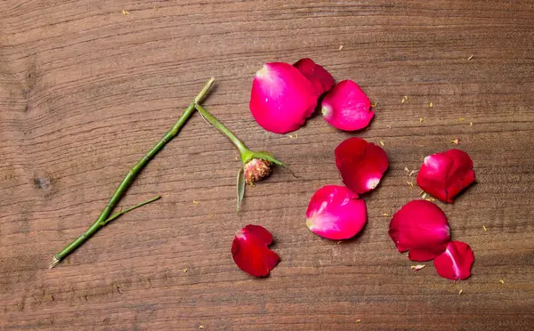 Breken koncepcja serce z róż — Zdjęcie stockowe