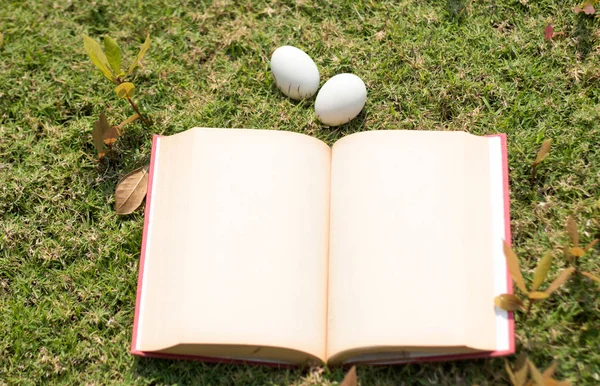 Egg on old book in history of easter concept — Stock Photo, Image