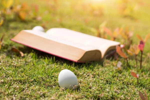 Huevo en el libro viejo en la historia del concepto de Pascua — Foto de Stock