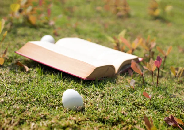 Egg on old book in history of easter concept — Stock Photo, Image