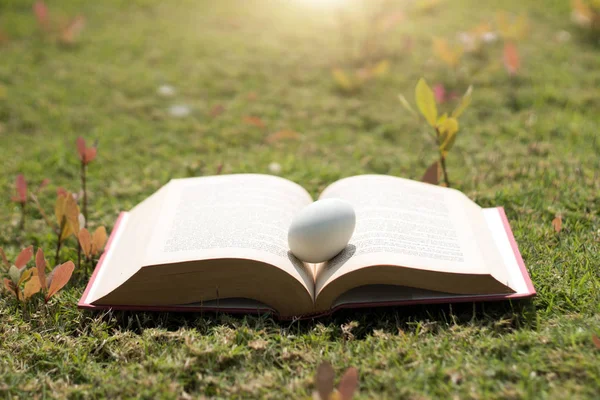 Egg on old book in history of easter concept — Stock Photo, Image