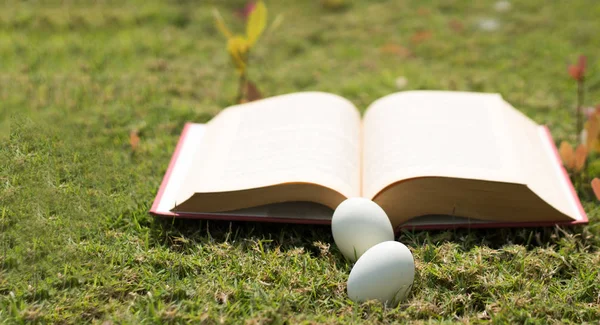 鸡蛋在复活节概念历史老书 — 图库照片