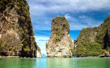 manzara doğa ile ağaç dağ ve okyanus arka planı için