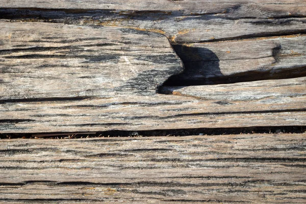 Twarde drewno tekstury tło — Zdjęcie stockowe