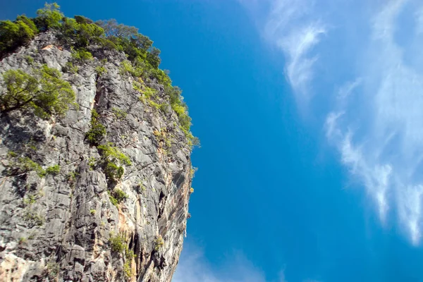 Manzara doğa ile ağaç dağ ve okyanus arka planı için — Stok fotoğraf