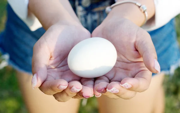 Mano tenere l'uovo in Pasqua — Foto Stock