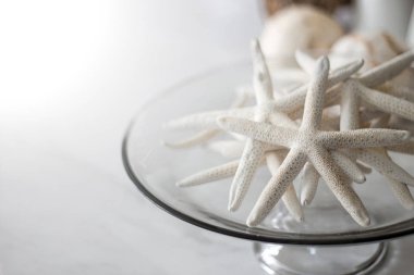 cam kase kuru yıldız balık dekorasyon