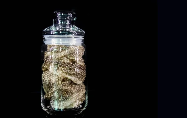 Ormskinn i flaska för serum — Stockfoto