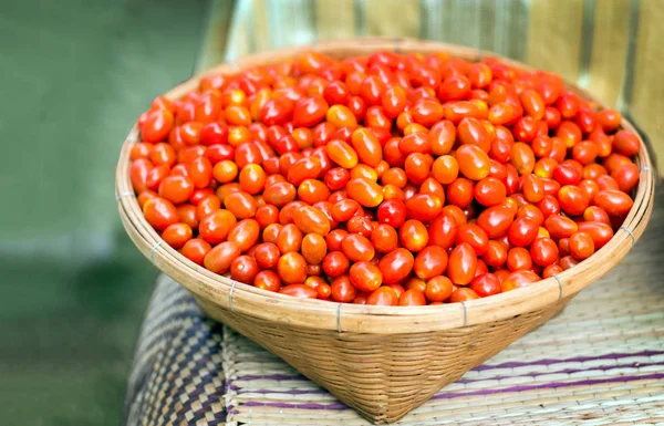 Mini tomate en cesta al aire libre — Foto de Stock