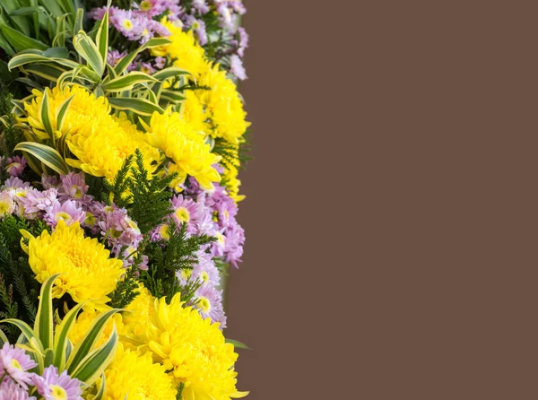 혼합 꽃 장식 배경 — 스톡 사진