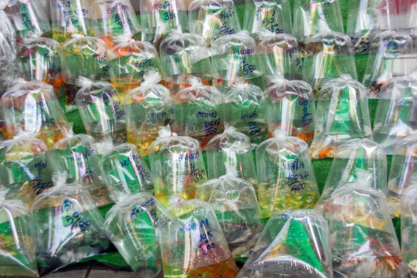 color fish in plastic bag at pet market
