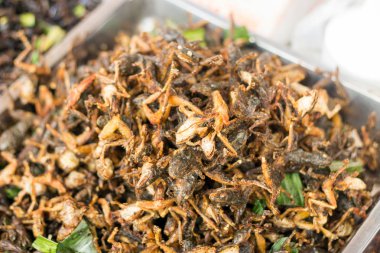 egzotik kızartma kertenkele gıda