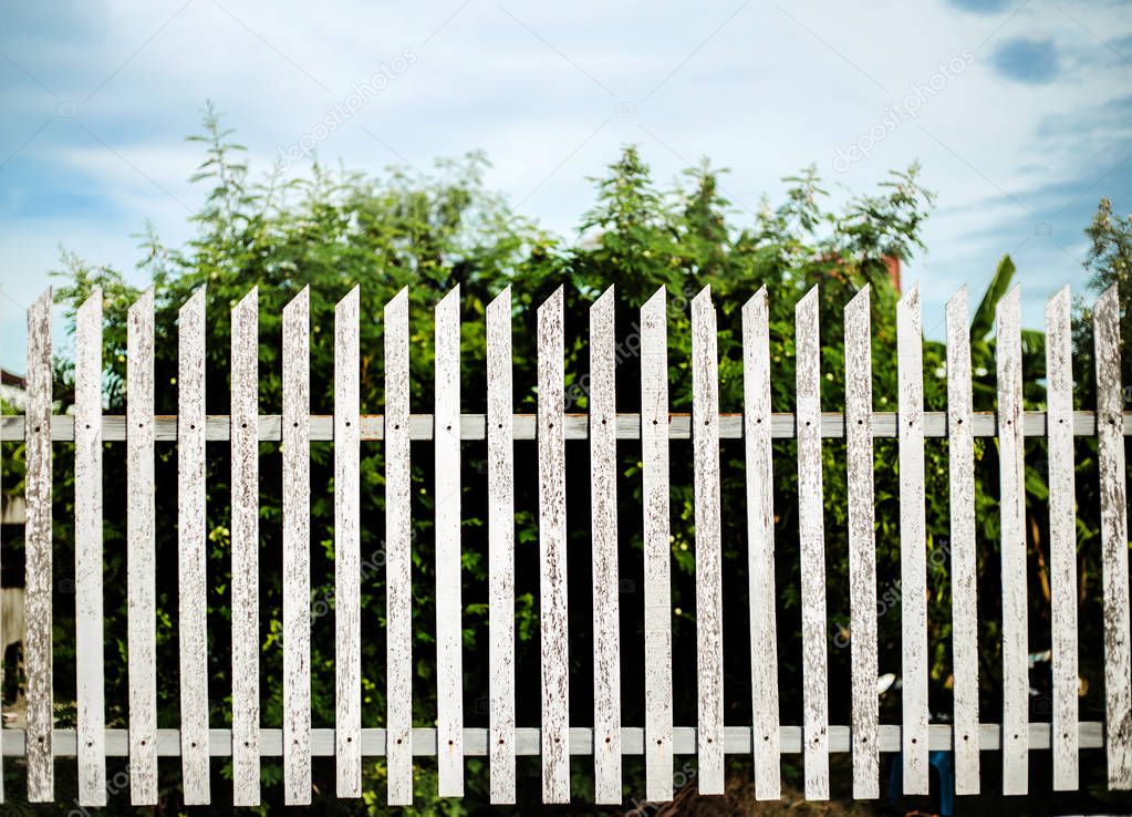 Imágenes: cercas de madera para jardin | jardín exterior de la cerca de