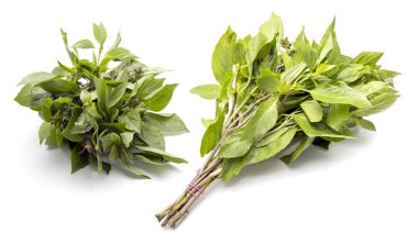 beyaz izole üzerinde Asya fesleğen 